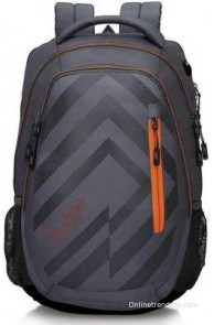 Skybags Geo 03 2.5 L Backpack(Grey, Size - 170)